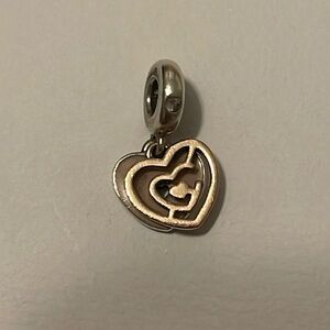Pandora Charm